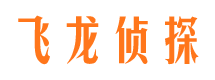 莱西侦探公司